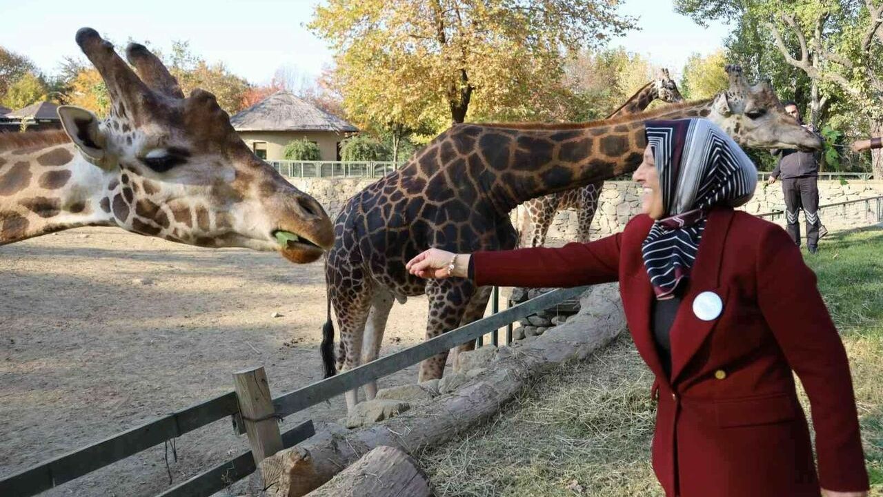 Bursa Hayvanat Bahçesi 24 yaşında