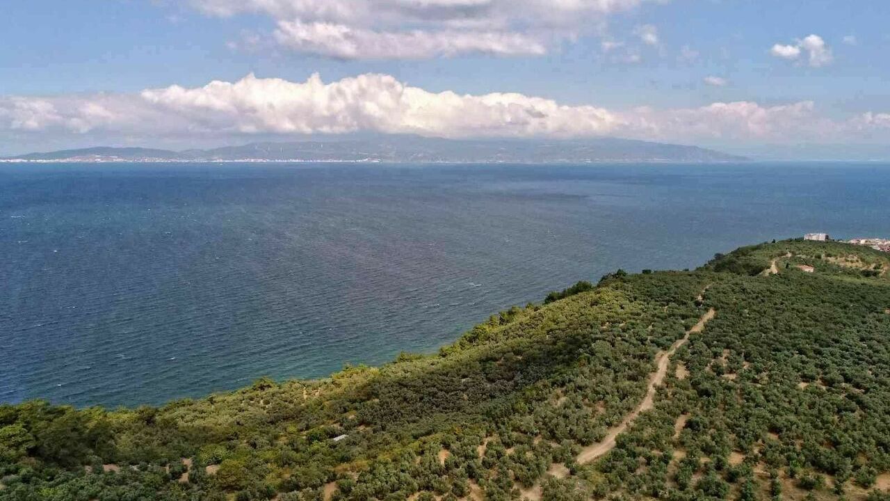 Yeniden temiz bir Marmara için deniz çalıştayı