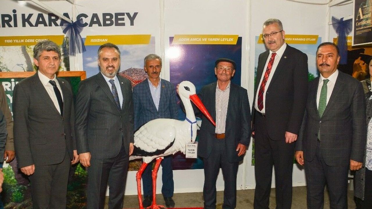 Karacabeyde fuarın gözdeleri Adem Amca ve Çorapçı Parlak oldu