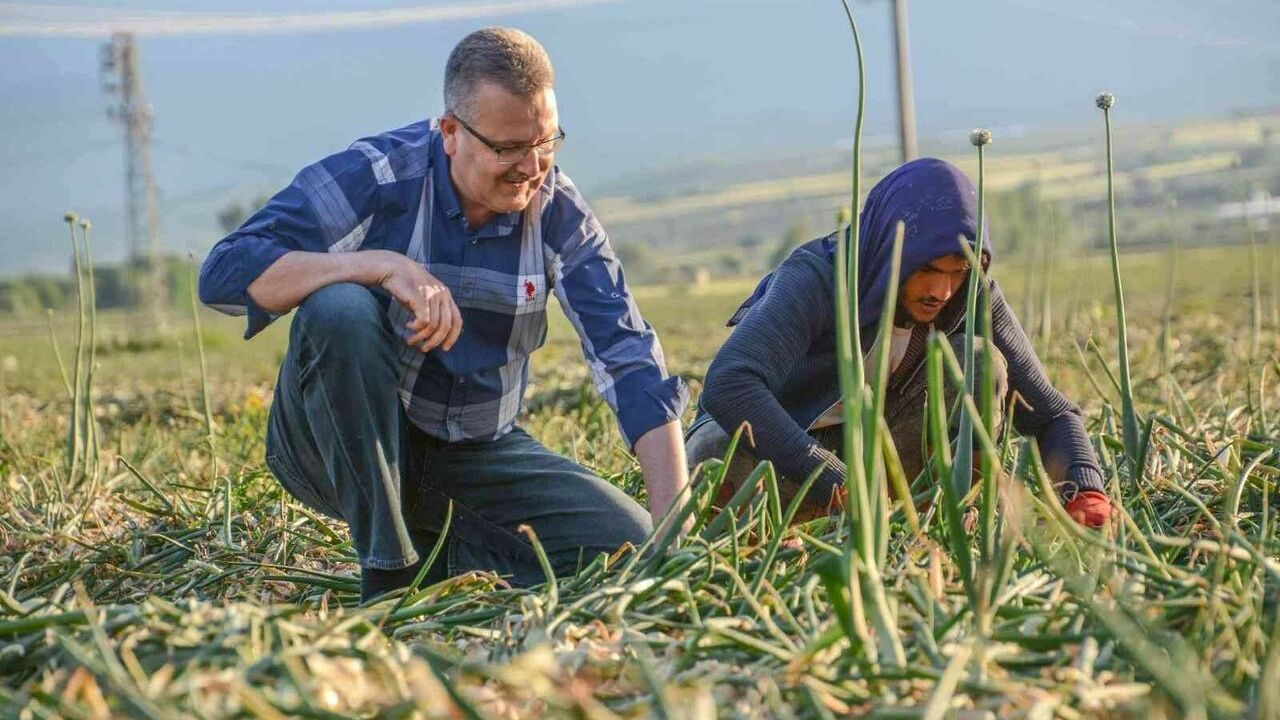 Karacabeyde arazi yollarına rahat ve güvenli ulaşım için düzenlemeler sürüyor
