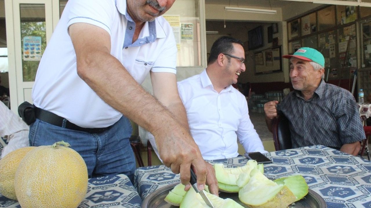 Bursada kavun hasadı başladı, fiyatlar yüzleri güldürdü