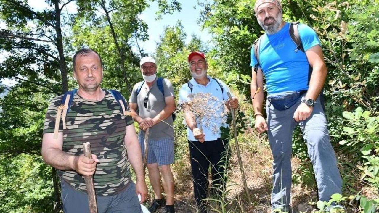 İznikin saklı güzelliklerinden Tacir Kanyonu ziyaretçilerini bekliyor