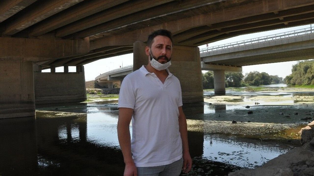 Canbalı Deresinde balık ölümleri tedirgin etti