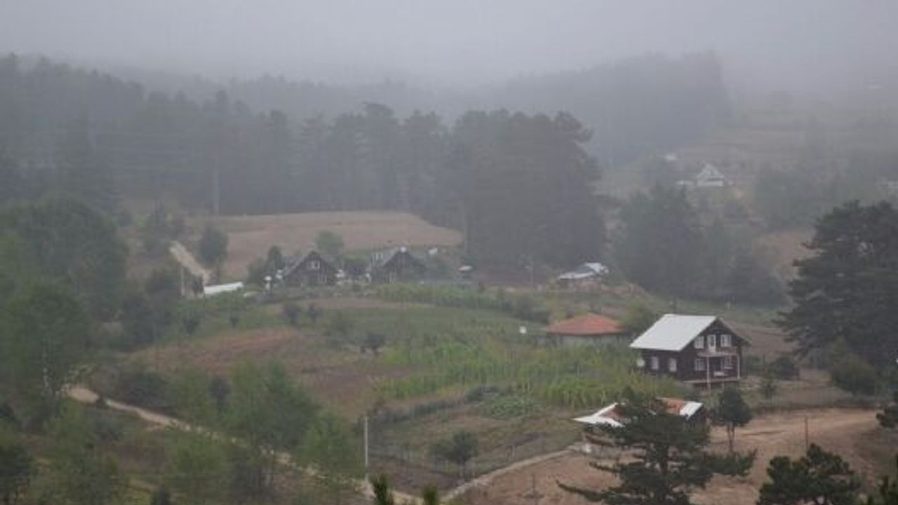 Boğazovaya sahip çıkın