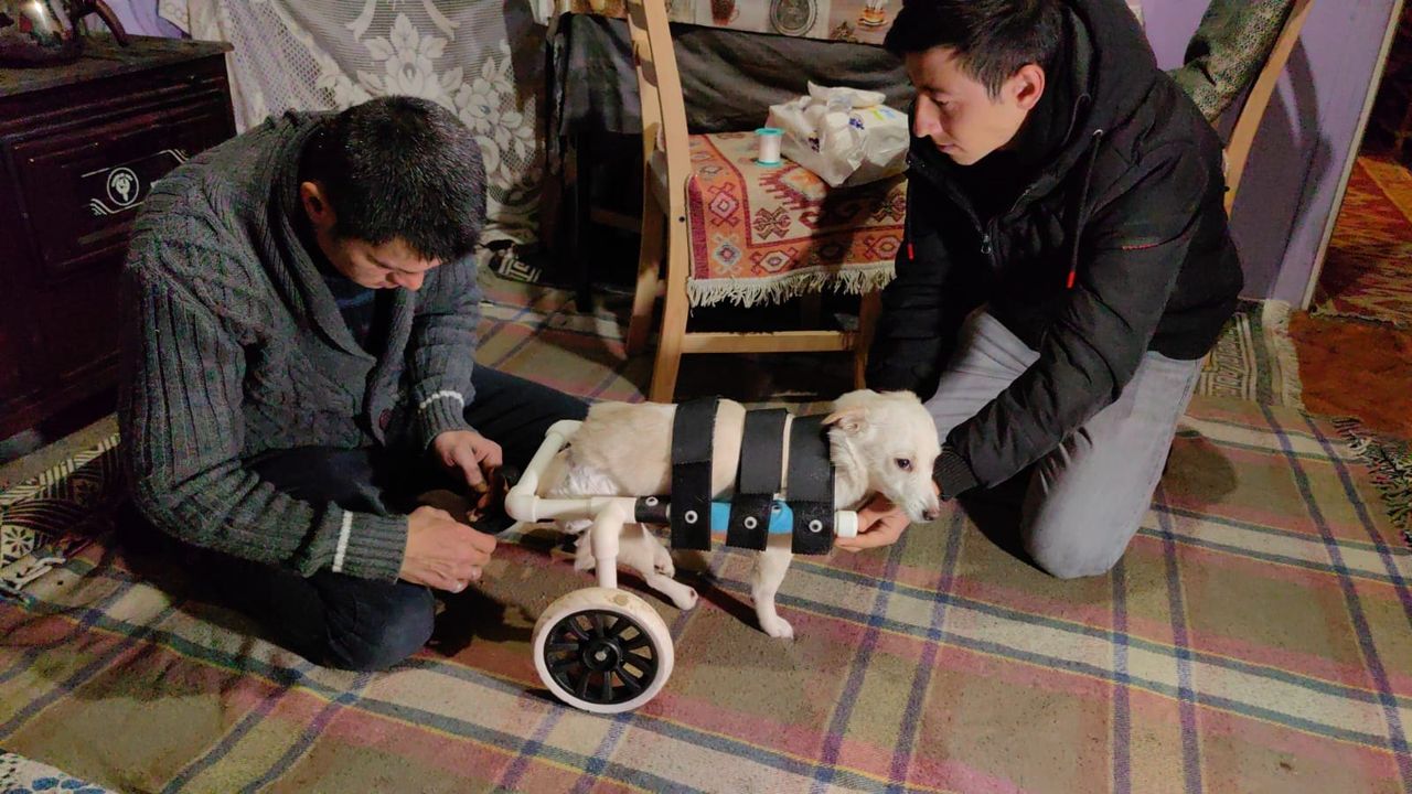 İnegöl'de engelli köpeği hayata bağladı