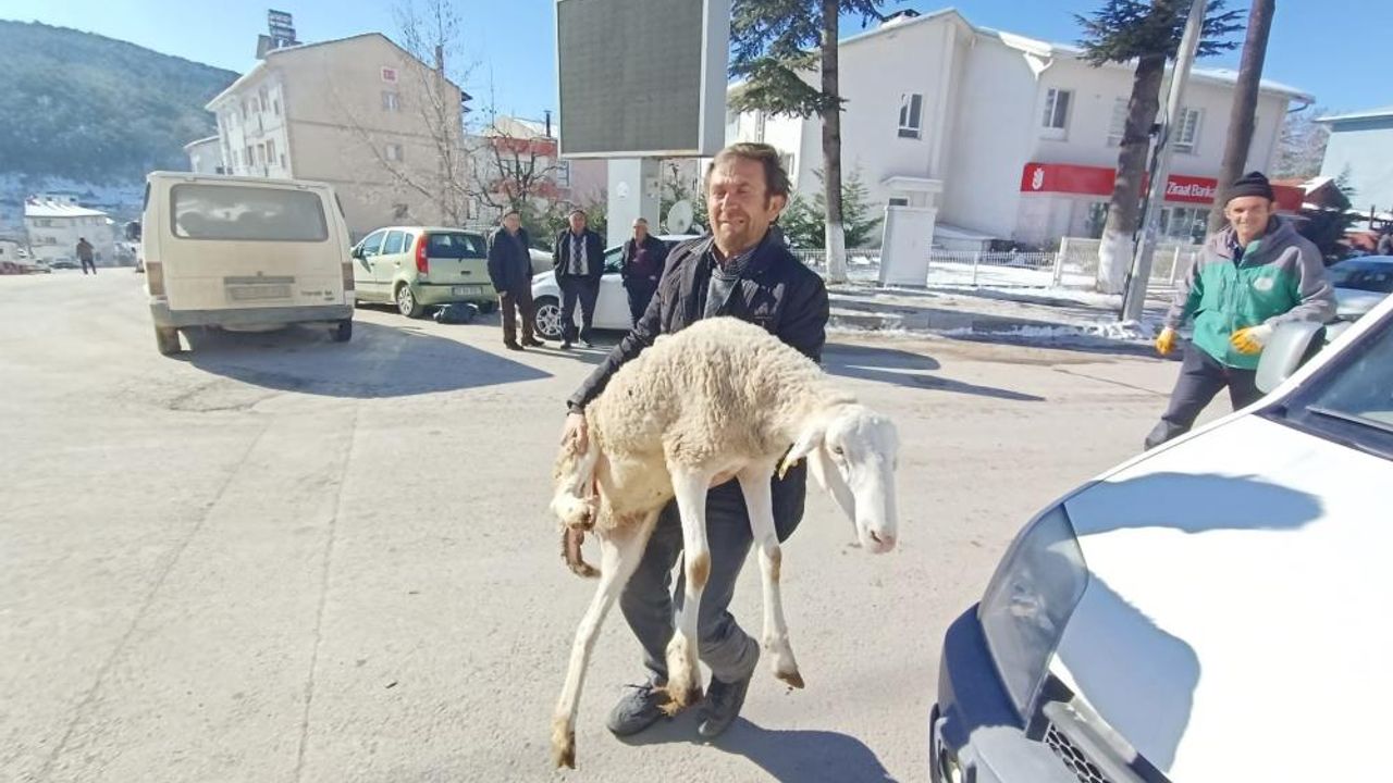 Deprem bölgesine 40 koyun bağışladılar