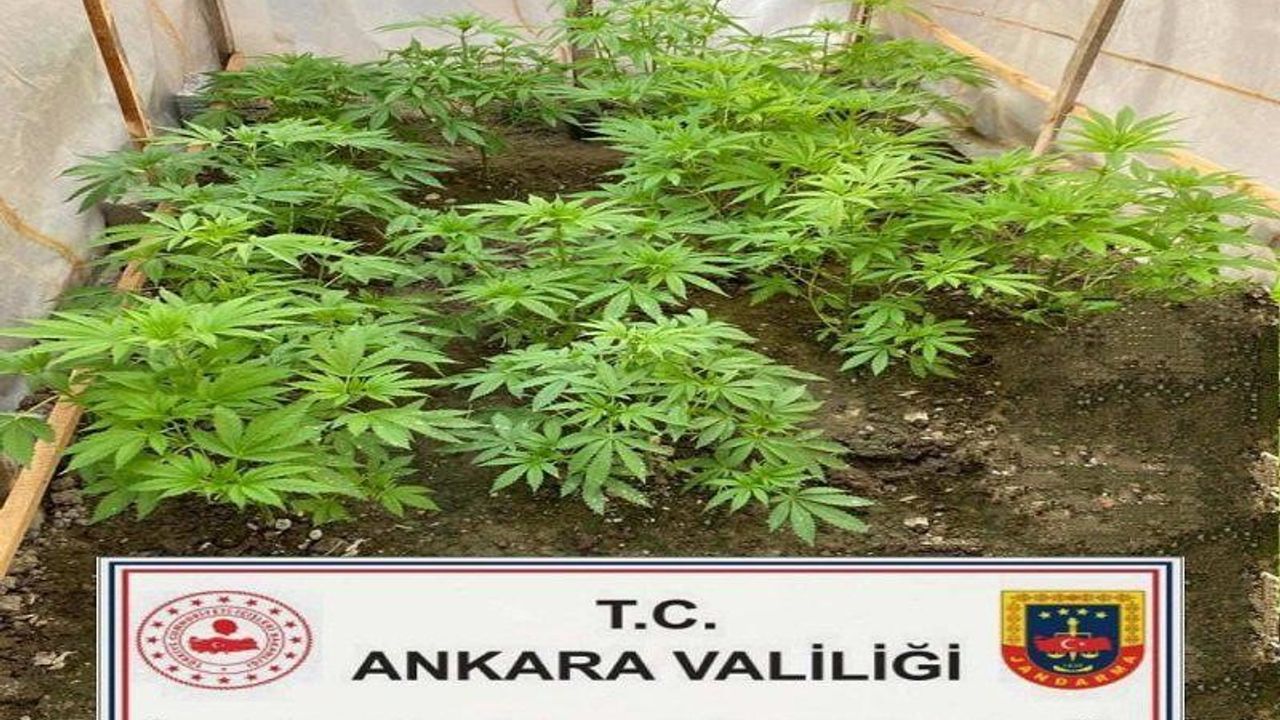 Ankara'da uyuşturucuyla mücadele