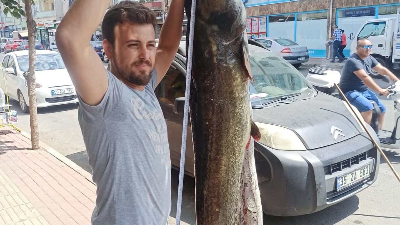 2 metrelik yayın balığı, Bakın nerede yakalandı!