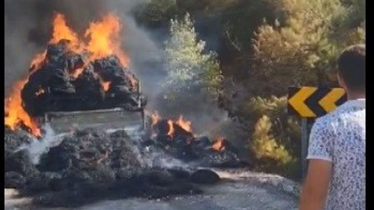Balıkesir'de 30 hektarı kül eden yangın böyle başladı