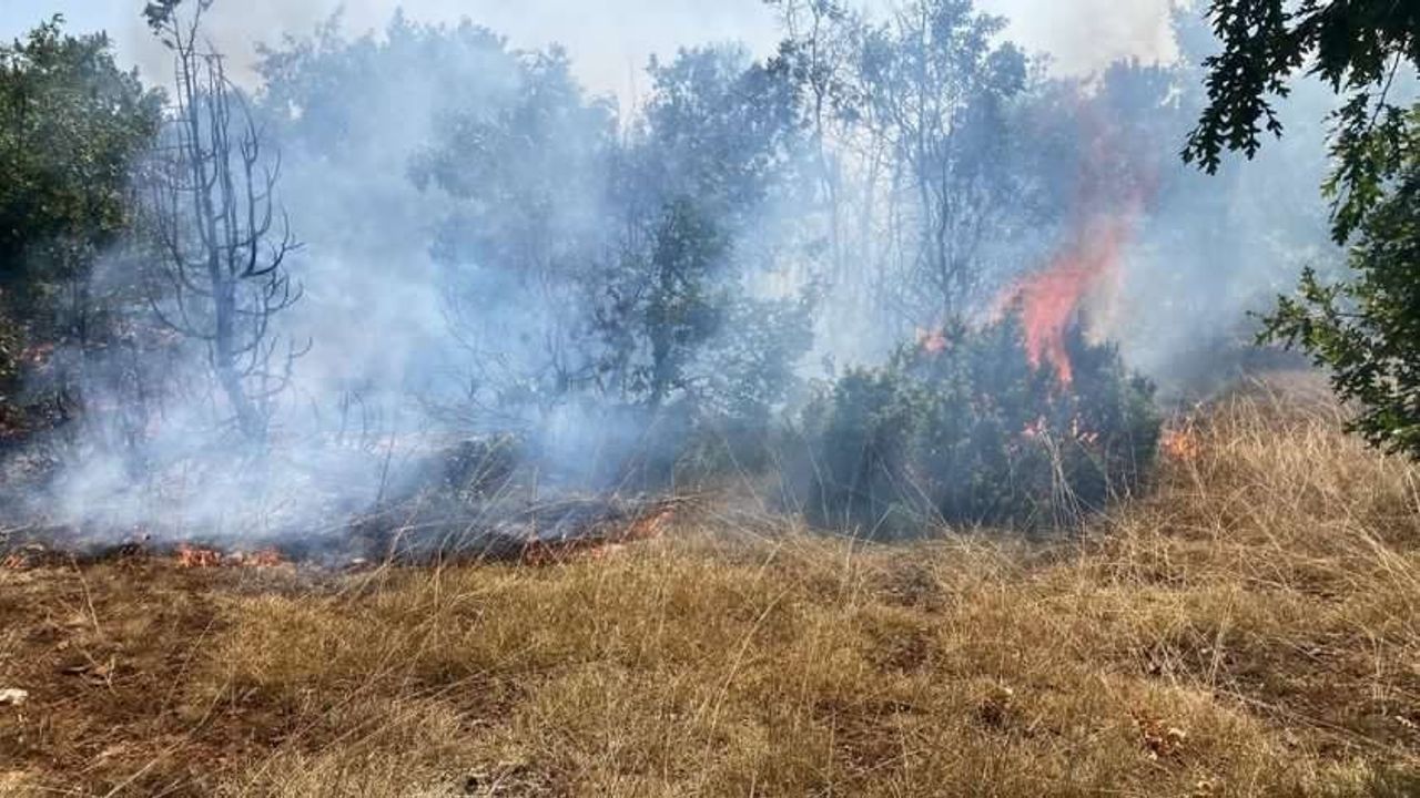 Kütahya'daki orman yangını kısmen kontrol altına alındı