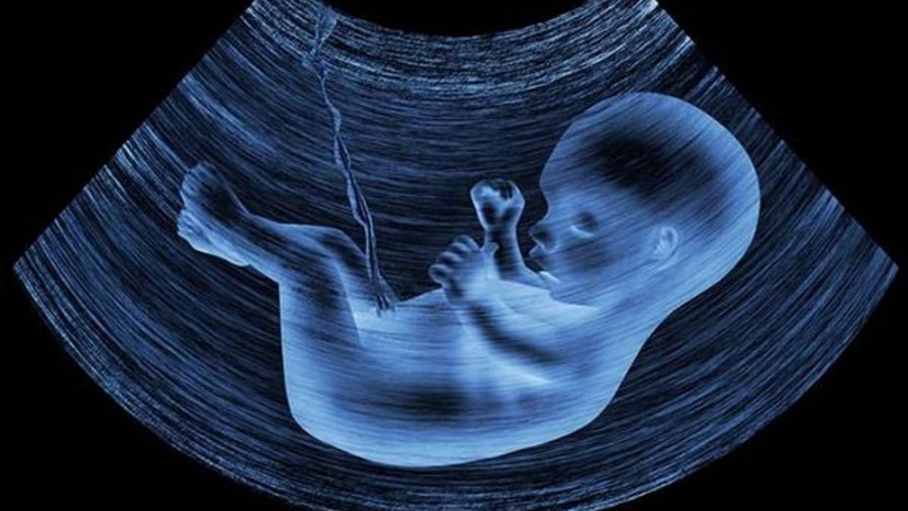 Hamilelik dönemi Akıntıya Göre Cinsiyet  Tahmin Edilir mi?