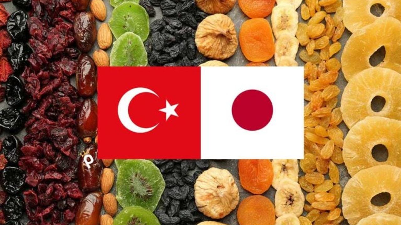 Türk Kuru Meyve İhracatçıları Japon Alım Heyeti ile Görüştü