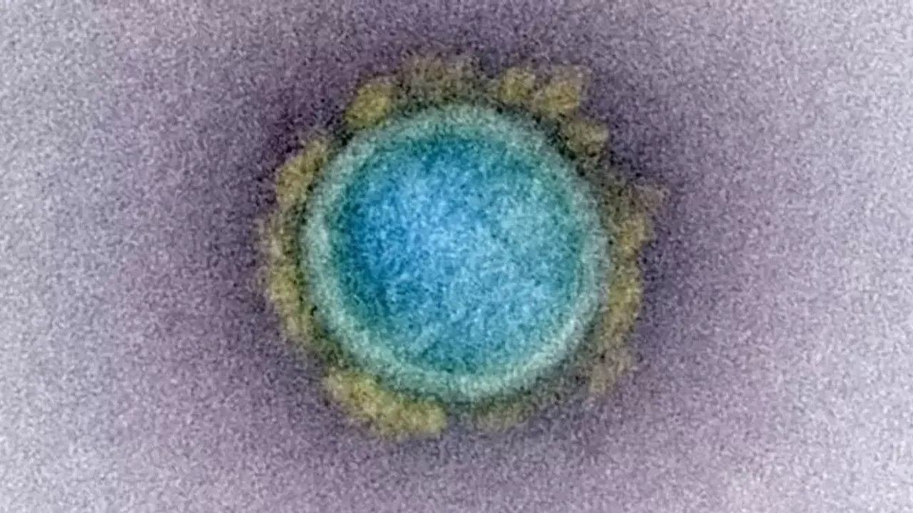 Bilim Dünyasında ŞOK "Vampir Virüs" Keşfedildi