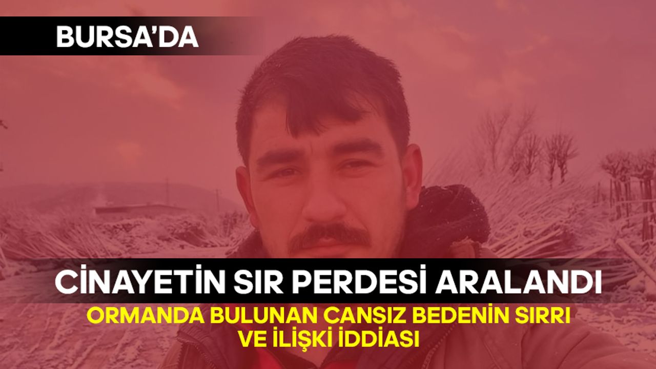 Bursa'da Cinayetin Sır Perdesi Aralandı: İlişki İddiası ve Ormanlıkta Bulunan Cansız Beden