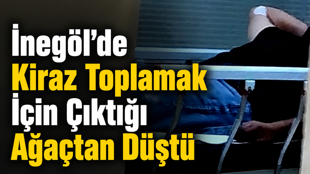 İnegöl’de Kiraz Toplamak İçin Çıktığı Ağaçtan Düştü
