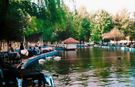 MAZİDEN BİR KARE: İnegöl Kuğulu Park