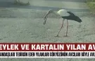 Bursa'da Vatandaşları Tedirgin Eden Yılanları Gökyüzünün Avcıları Böyle Avladı