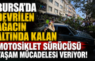Bursa'da devrilen Ağacın Altında Kalan Motosiklet Sürücüsü Yaşam Mücadelesi Veriyor!