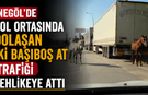 İnegöl’de Yol Ortasında Dolaşan İki Başıboş At Trafiği Tehlikeye Attı