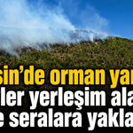 Mersin’de orman yangını! Alevler yerleşim alanları ve seralara yaklaştı
