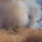 Tekirdağ'da yangında 80 dekar alan zarar gördü