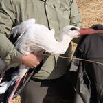 Elektrik akımına kapılan eşinin başından 5 gün ayrılmadı