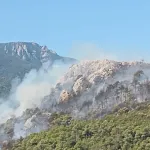 Bursa’da 3 noktadaki orman yangını kontrol altına alındı