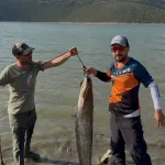 Bursa’da turna beklerken oltalarına 13 kiloluk yayın balığı takıldı