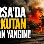Bursa’da Korkutan Orman Yangını!