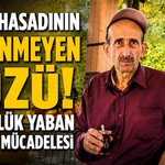 Fındık Hasadının Görünmeyen Yüzü: 70 Günlük Yaban Hayvanı Mücadelesi