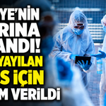 Türkiye’nin sınırına dayandı! Hızla yayılan virüs için alarm verildi
