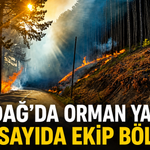 Uludağ’da Orman Yangını! Ekipler Havadan ve Karadan Müdahale Ediyor