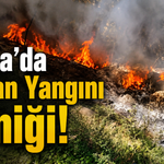 Bursa'da Orman Yangını Paniği! Alevlere Vatandaşlar Müdahale Etti