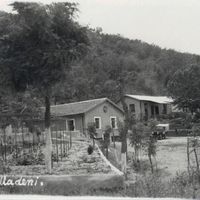 Bursa
