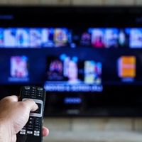 TV