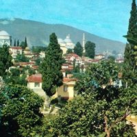 Bursa