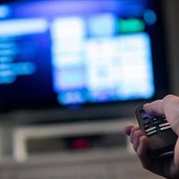TV