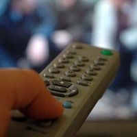 TV