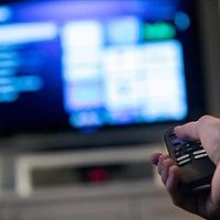 TV