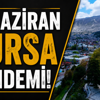 Bursa