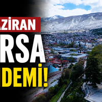 Bursa