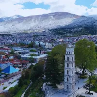 Bursa