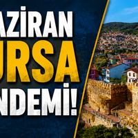 Bursa