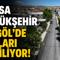 Bursa