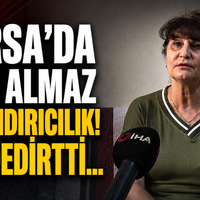 Bursa