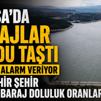 Bursa