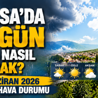 Bursa