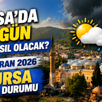 Bursa