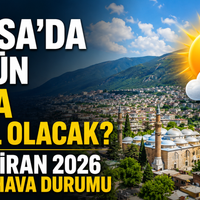 Bursa