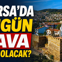 Bursa